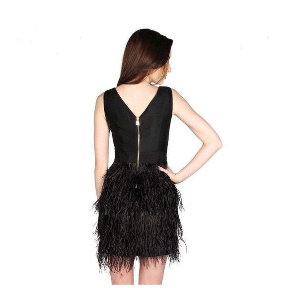 Sail to Sable Black Feathered Dress - Picture 2 of 12